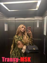 ���� ������������� ������ �� ������ ������