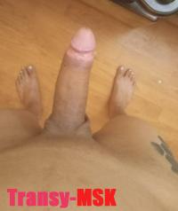 ���� ������������� Arianna �� ������ ������