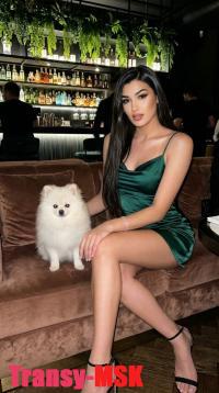 ���� ������������� ������ 20�6 �� ������ ������