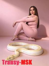 ���� ������������� ����� �� ������ ������