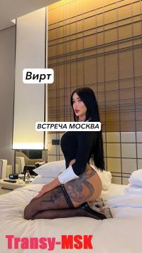 ���� ������������� DIANA �� ������ ������