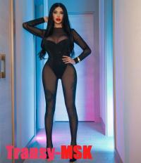 ���� ������������� DIANA �� ������ ������